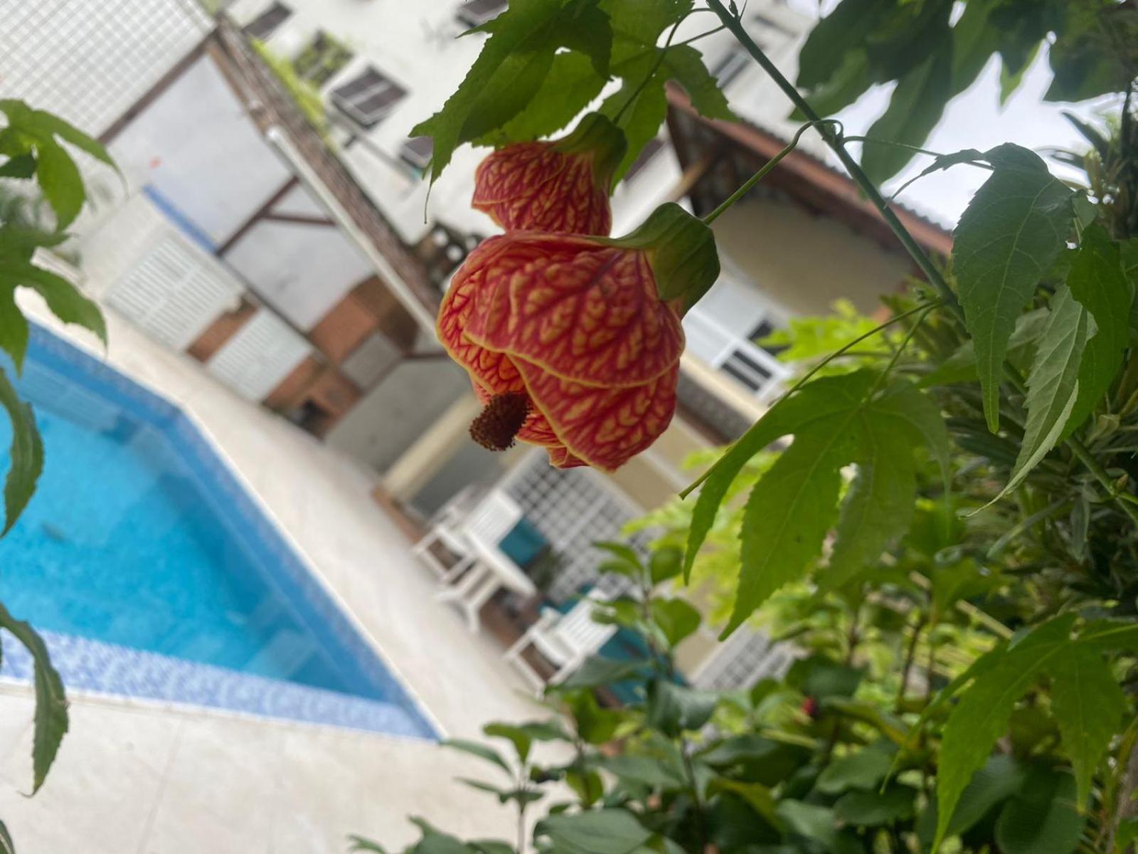 Pousada Do Tio Cido Guaruja Exterior photo